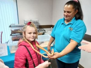 Shotton Community Hub - Animals