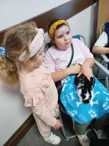 Shotton Communtiy Hub - Animals