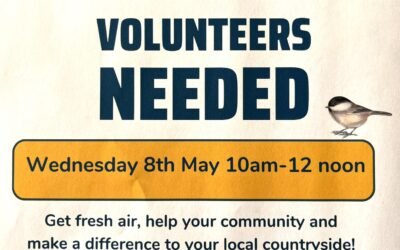 Shotton Spring Clean 8th May 2024