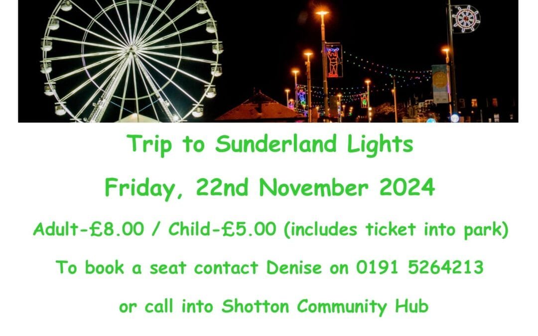 Trip to Sunderland Festival of Light