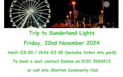 Trip to Sunderland Festival of Light