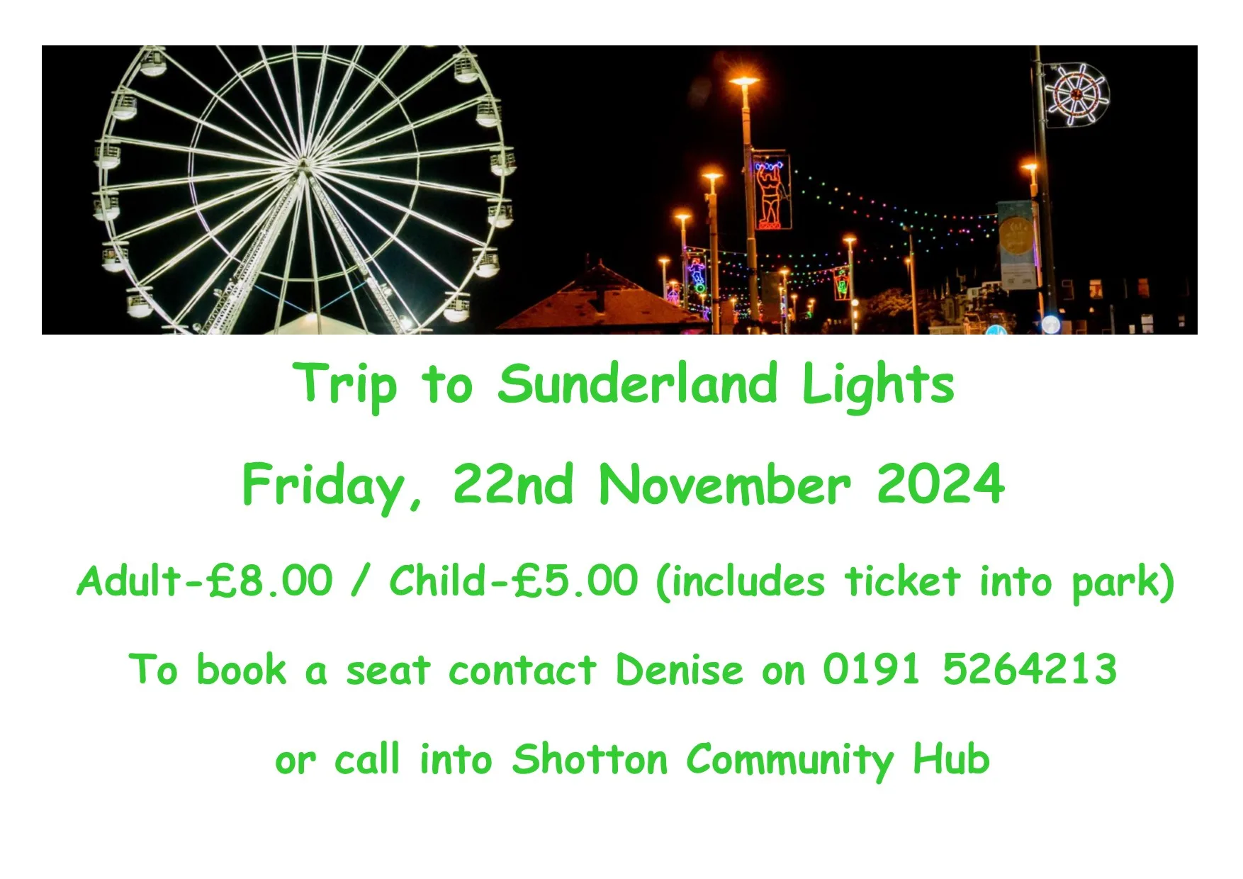 Trip to Sunderland Festival of Light