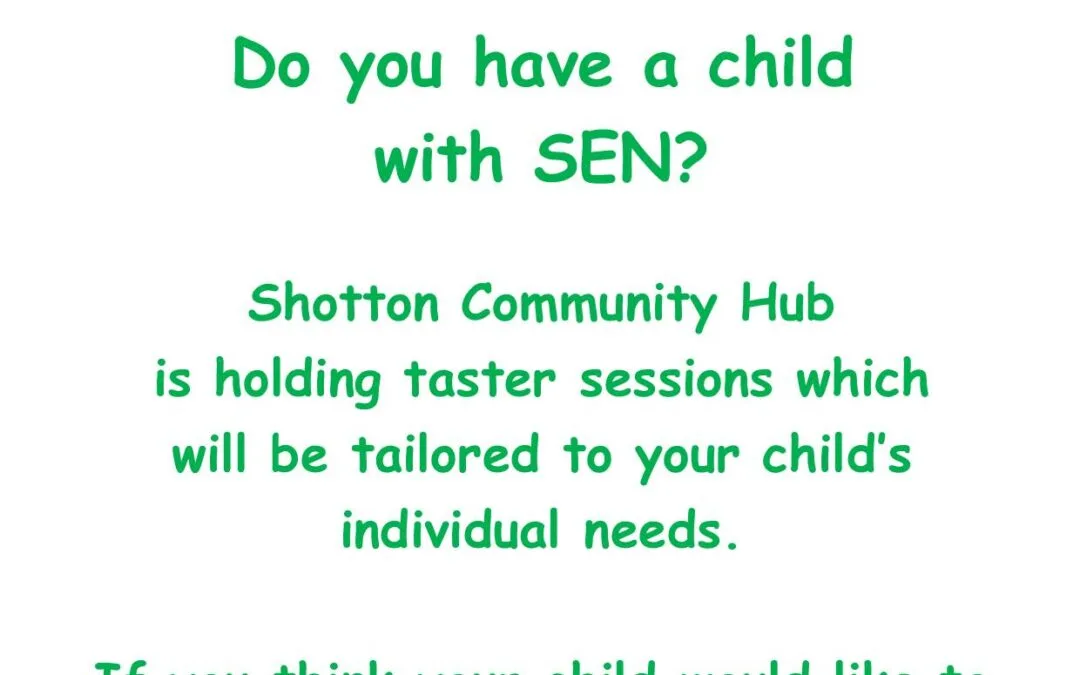 Do you have a child with SEN?